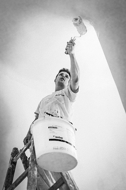 man, painter, painting, worker, brush, roller, renovation, monochrome, painter, painter, painter, painter, painter, renovation, renovation